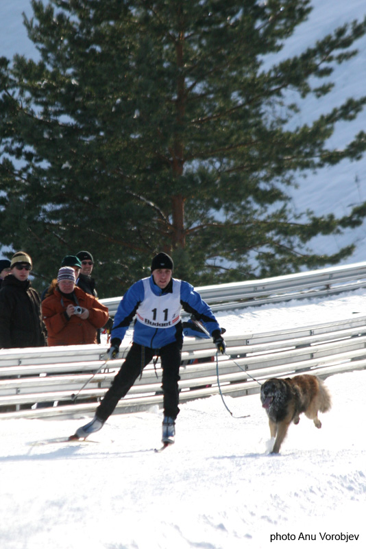 20070225_9999_180