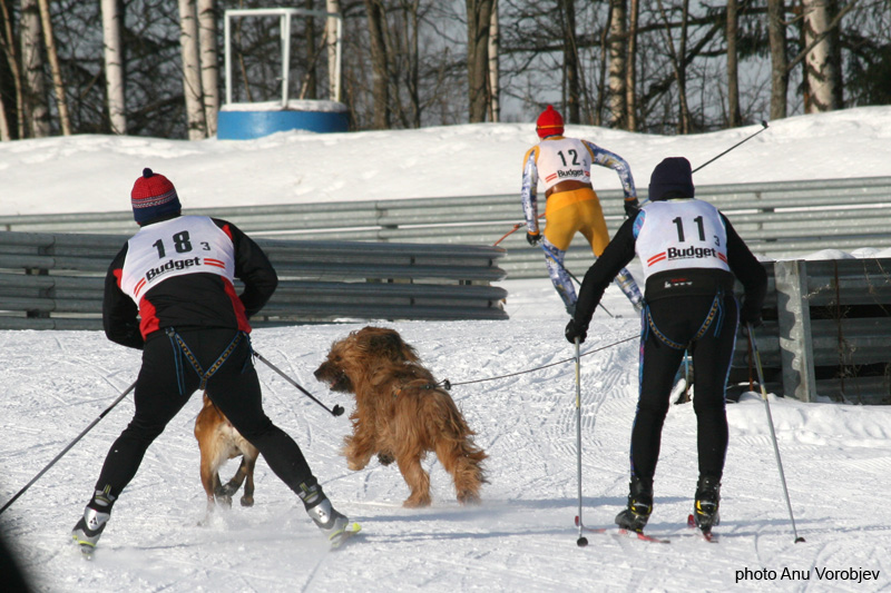 20070225_9999_188