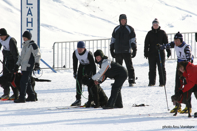 20070225_9999_19