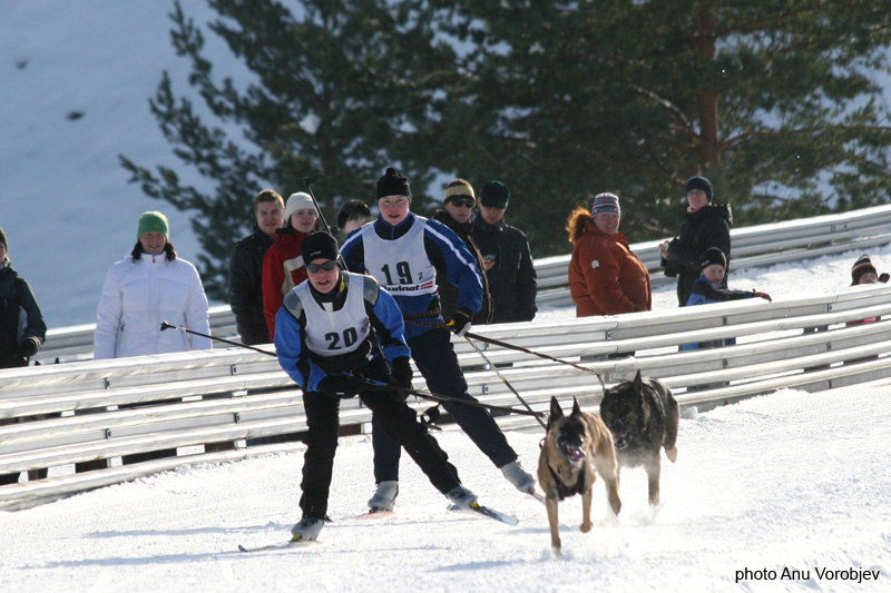 20070225_9999_193
