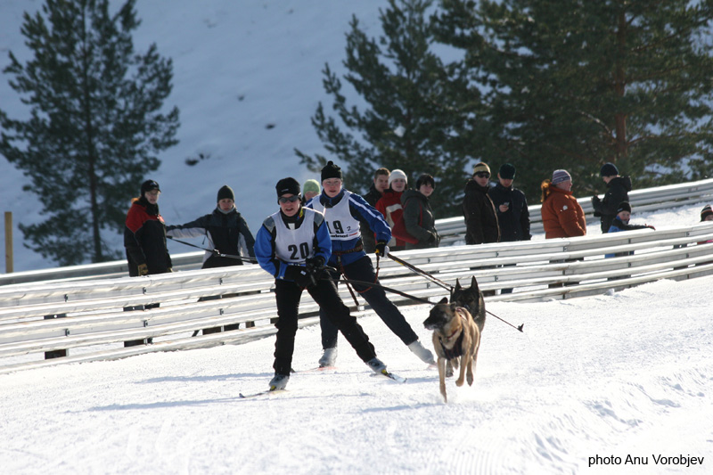 20070225_9999_194