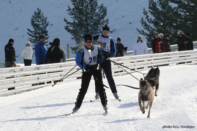 20070225_9999_196