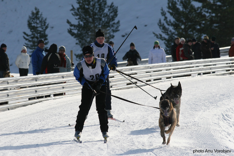 20070225_9999_198