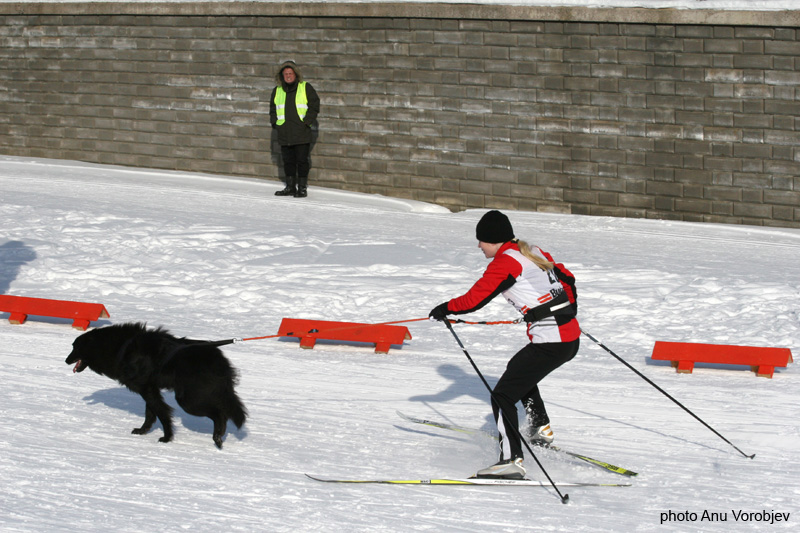 20070225_9999_202