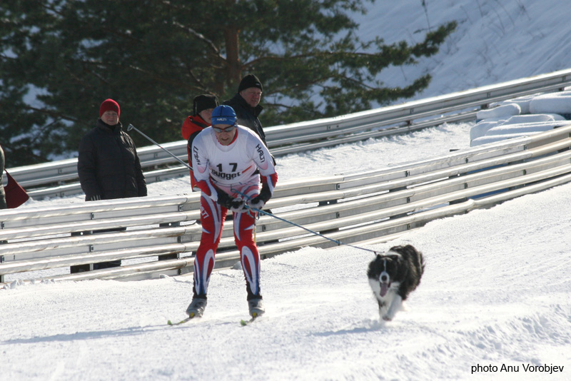 20070225_9999_219