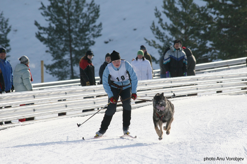 20070225_9999_221