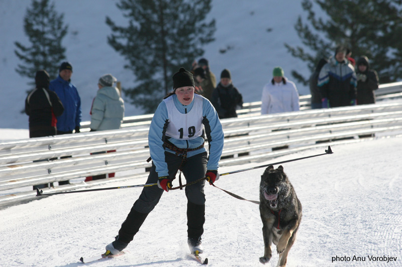 20070225_9999_223