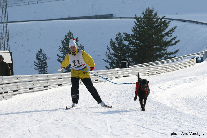 20070225_9999_267
