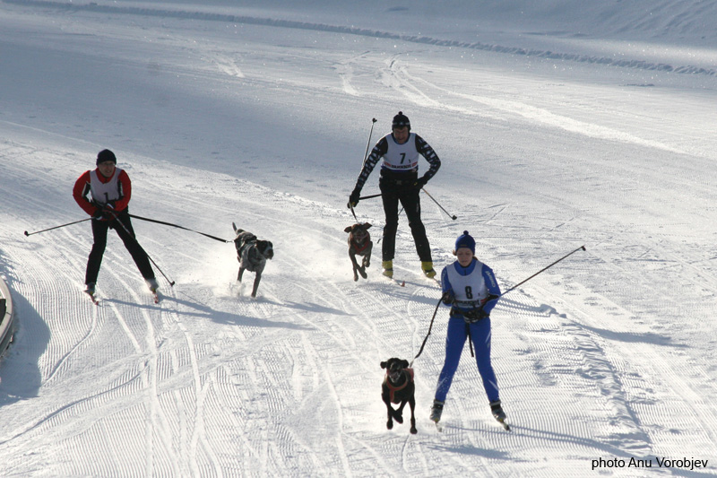 20070225_9999_39