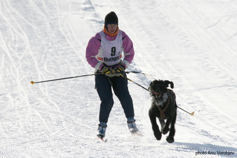 20070225_9999_56