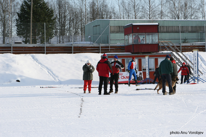 20070225_9999_6