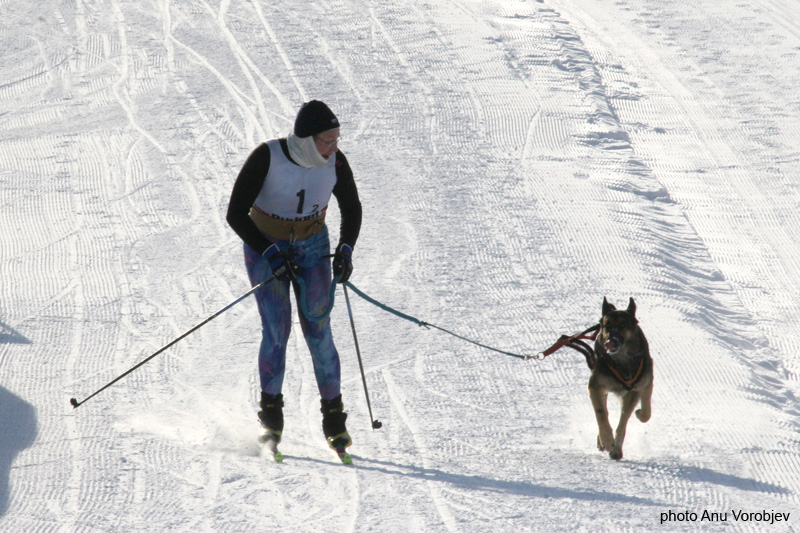 20070225_9999_69