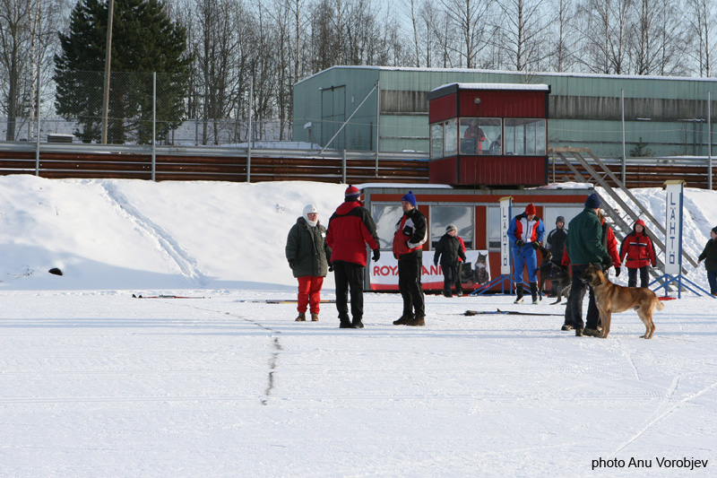 20070225_9999_7