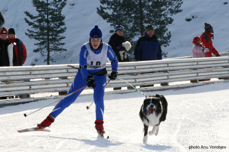 20070225_9999_85