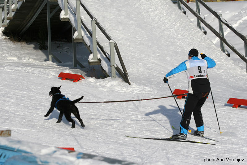 20070225_9999_97