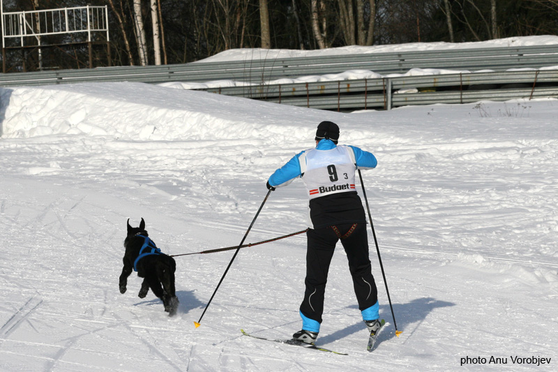 20070225_9999_99